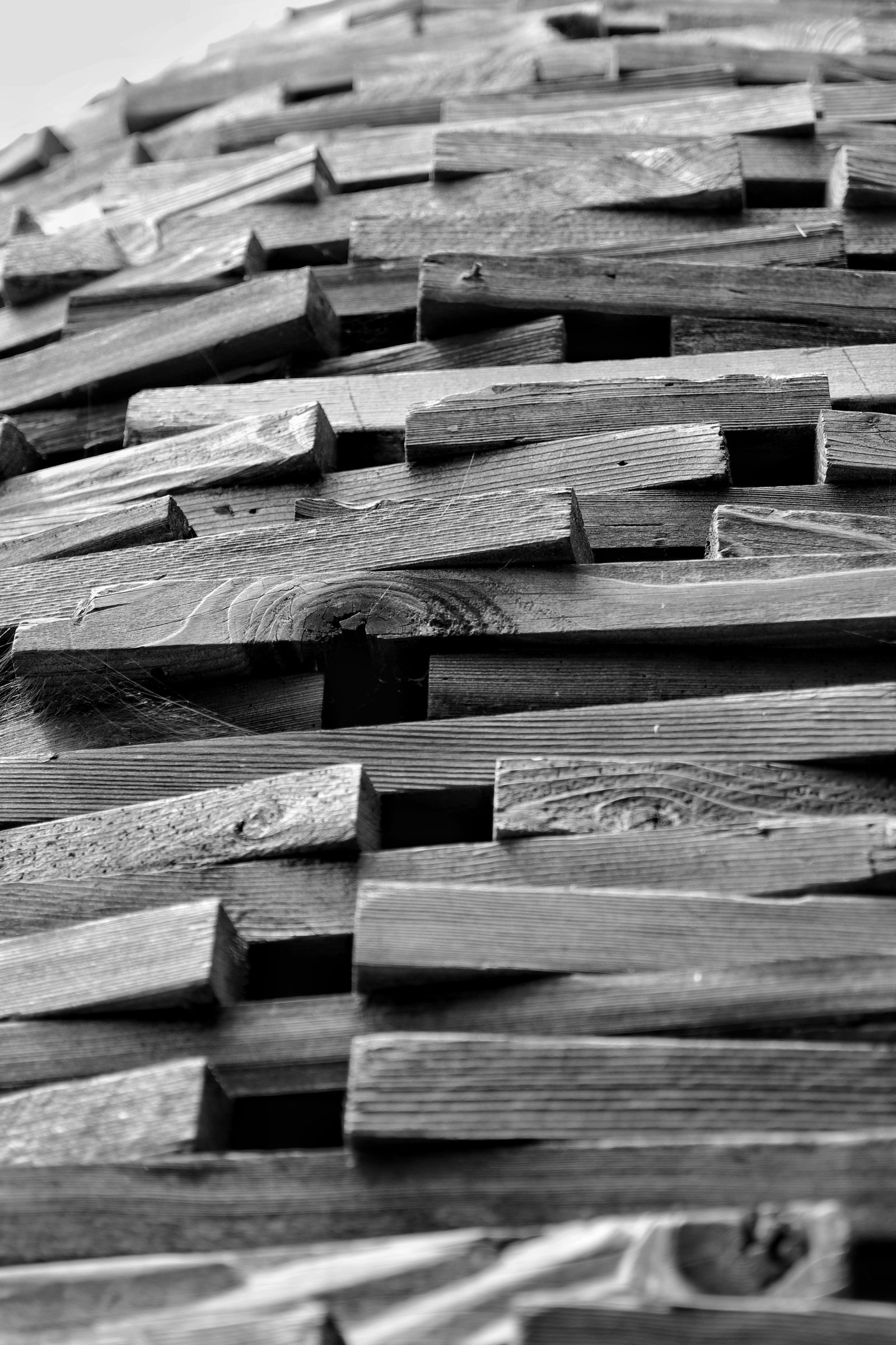 Shipping-and- packaging-speed-are-also-important-criteria-when-choosing-a-reputable-hardwood-supplier